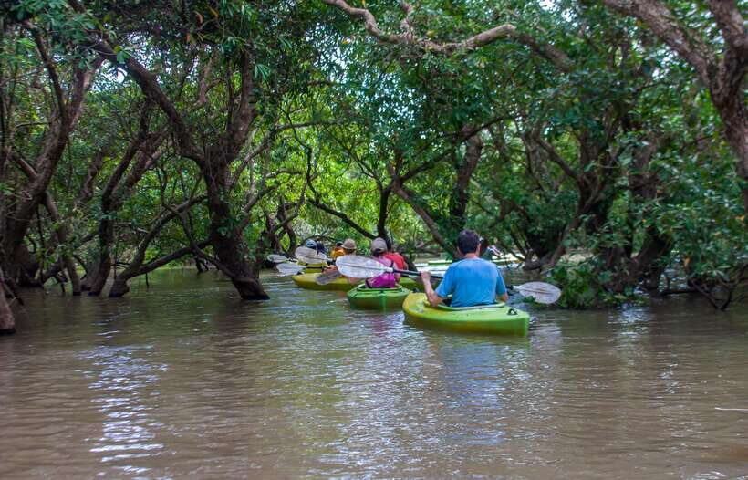Kayaking & Floating Village in Siem Reap - What Makes This Tour Special?