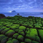 Keelung: Heping Island Geopark Entry Ticket - What You Can Expect During Your Visit