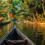 Kerala: Alappuzha River Cruise with Village Walk - Detailed Review of the Kerala Shikara and Village Walk