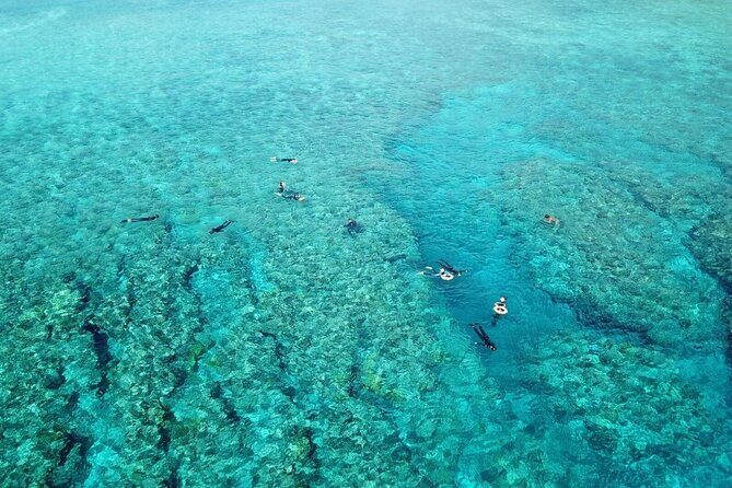Kerama Snorkeling Tour from Chatan or Naha - The Experience: What It Feels Like