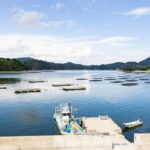 Kesennuma: Local Food & Sake Dinner Pairing Experience - FAQs