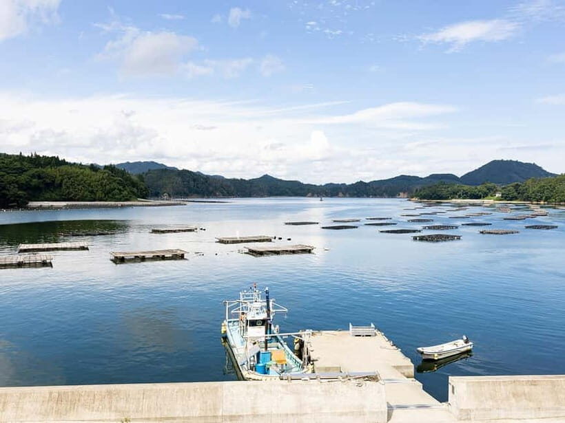 Kesennuma: Local Food & Sake Dinner Pairing Experience - Why This Tour Is Worth Considering