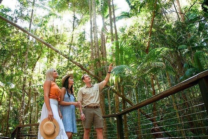 K'Gari (Fraser Island) 3-Day Getaway from Hervey Bay + Illumina - Day 1: Arrival and First Impressions