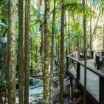 K'gari (Fraser Island) All Inclusive Day Tour - Transport: Comfortable, Bumpy, and Purpose-Built