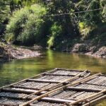 Khao Lak Bamboo Rafting Turtle Conservation and Tha Sai Temple - What Makes This Tour Stand Out