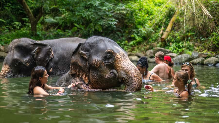 Khao Lak: Elephant Camp, Bamboo Rafting, and Waterfall Tour - A Detailed Look at the Tour Experience