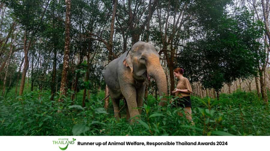 Khao Lak: Ethical Elephants & Zipline Combo Tour - An Honest Breakdown of the Tour Experience
