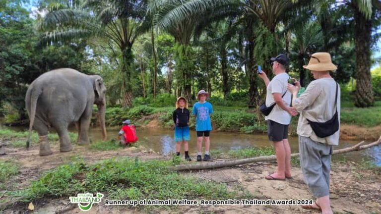 Khao Lak: Highlights with Temple, Turtles & Elephants Tours - Detailed Experience Breakdown