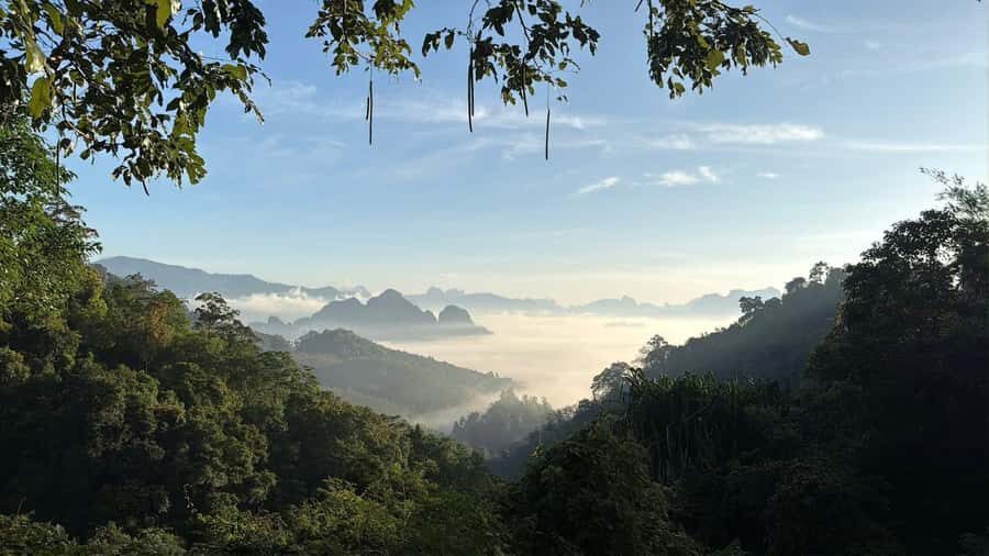 Khao Lak/Khao Sok : Khao Sok Trekking, Rafting, Lunch - The Experience Provider: Amazing Tour Khaolak  
