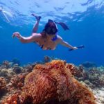 Khao Lak: Koh Haa & Koh Rok Day Tour with Snorkel, Lunch - The Excursion Itself: Speedboat Adventures and Island Stops