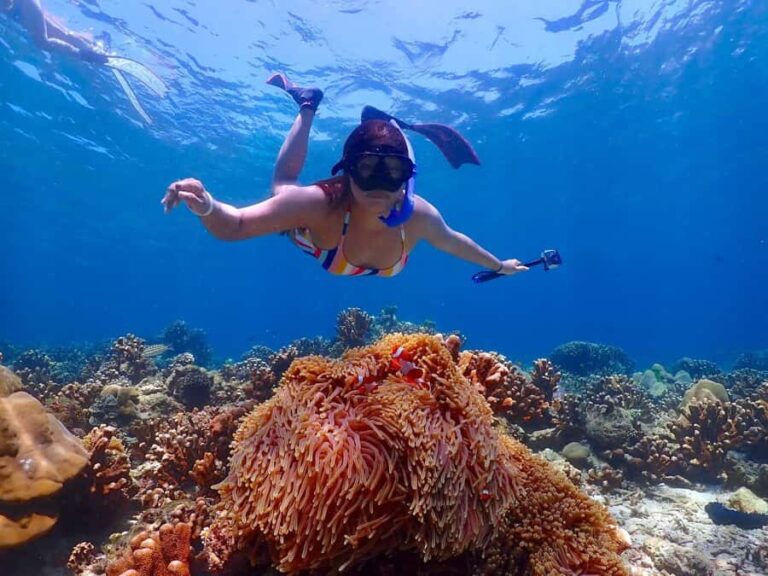 Khao Lak: Koh Haa & Koh Rok Day Tour with Snorkel, Lunch - The Excursion Itself: Speedboat Adventures and Island Stops