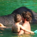 Khao Lak: Rafting, Elephant Bathing & Sea Turtle Center Tour - Authenticity & Uniqueness