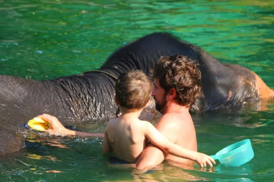 Khao Lak: Rafting, Elephant Bathing & Sea Turtle Center Tour - Authenticity & Uniqueness