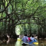 Khao Lak: Sri Phang Nga National Park and Takuapa Tour - Practical Details and Tips