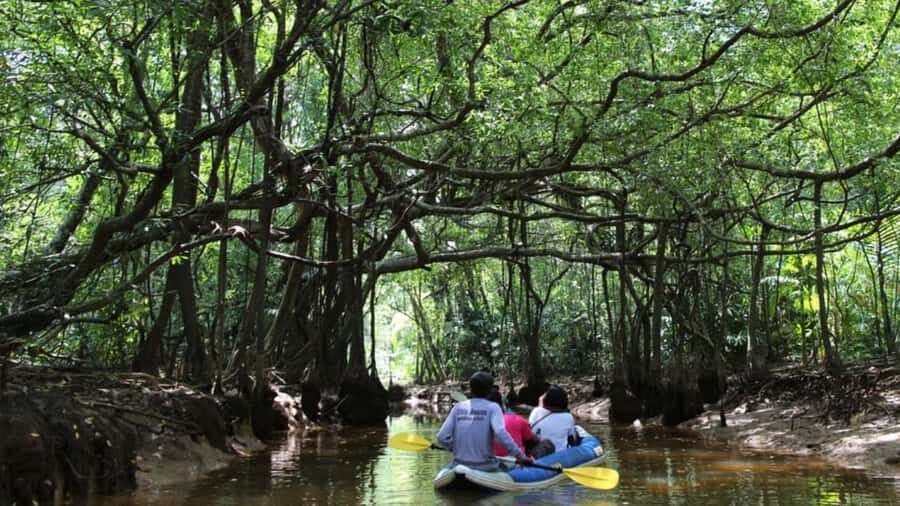 Khao Lak: Sri Phang Nga National Park and Takuapa Tour - Practical Details and Tips