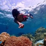Khao Lak to Similan Islands Lazy Snorkeling by Speedboat - Practical Details and What They Mean for You
