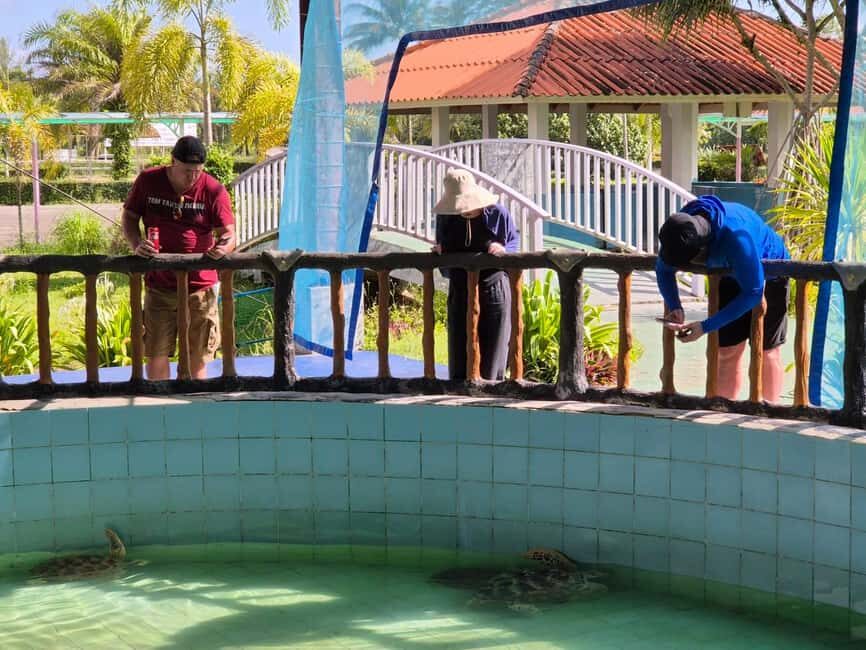 Khao Lak: Waterfall,Sea Turtle,Elephant Care,Meal & Transfer - Deep Dive: What to Expect from the Itinerary