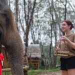 Khao Laks Best: Elephant Sanctuary,Rubber Tapping&Waterfall - Practical Details & Value Analysis