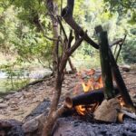 Khao Sok: Full Day Half Night Trek with Lunch & Dinner - The Itinerary: A Step-by-Step Breakdown