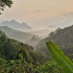Khao Sok National Park: 3-day nature & jungle tour on Cheow Lan Lake - The Itinerary Breakdown