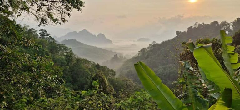 Khao Sok National Park: 3-day nature & jungle tour on Cheow Lan Lake - The Itinerary Breakdown