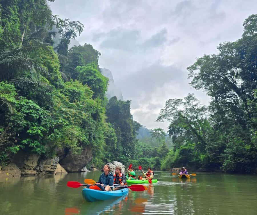 Khao Sok Park: Jungle Kayak Adventure & Wildlife Tour - Wildlife Spotting & Water Activities
