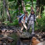 Khao Sok: Sunrise Wildlife Trek with Jungle Breakfast - The Itinerary: A Deep Dive