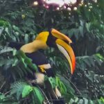 Khao Sok: Sunrise Wildlife Trek with Jungle Breakfast - The Detailed Experience of the Sunrise Wildlife Trek