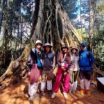 Khao Yai Jungle Walk & Haew Suwat Falls + Pickup & Thai Set - Practical Aspects: Transport, Value, and Experience