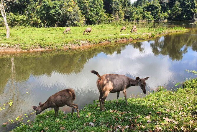 Khao Yai Waterfalls and Wilderness Private Chartered Tour - Value and Practicality of the Tour