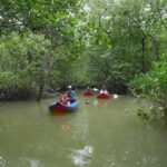 Khaolak: Little Amazon and Wat Khongkha Phimuk (Half Day) - Cultural Highlight: Wat Khongkha Phimuk Temple