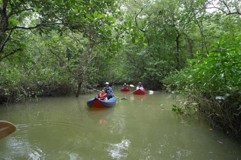 Khaolak: Little Amazon and Wat Khongkha Phimuk (Half Day) - Cultural Highlight: Wat Khongkha Phimuk Temple