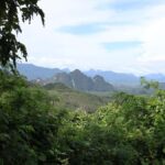 Khaosok Bamboo Raft & Night Safari (From Khaolak) - Real Experiences from Travelers