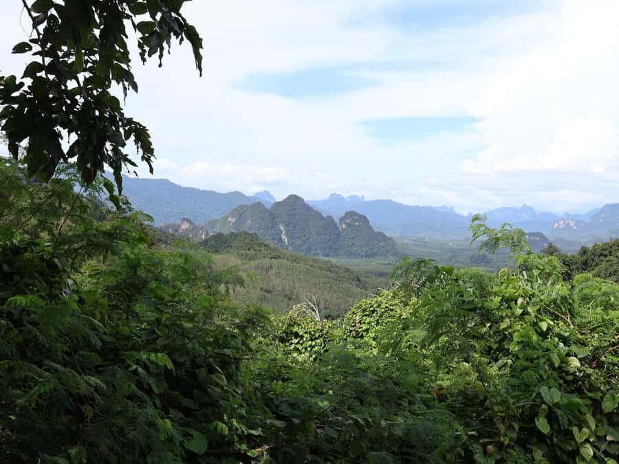 Khaosok Bamboo Raft & Night Safari (From Khaolak) - Real Experiences from Travelers