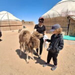 Khiva: Guided City Walking Tour with Local Guide - Who Will Love This Tour?