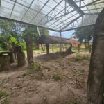 Khmer Rouge Headquarters & Last Stand Tour from Siem Reap - What to Expect: Practical Details & Experience Highlights