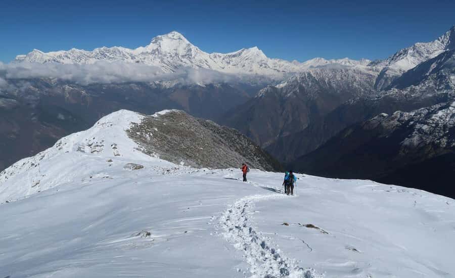 Khopra Danda Trek - 7 Days - An In-Depth Look at the Trek Experience