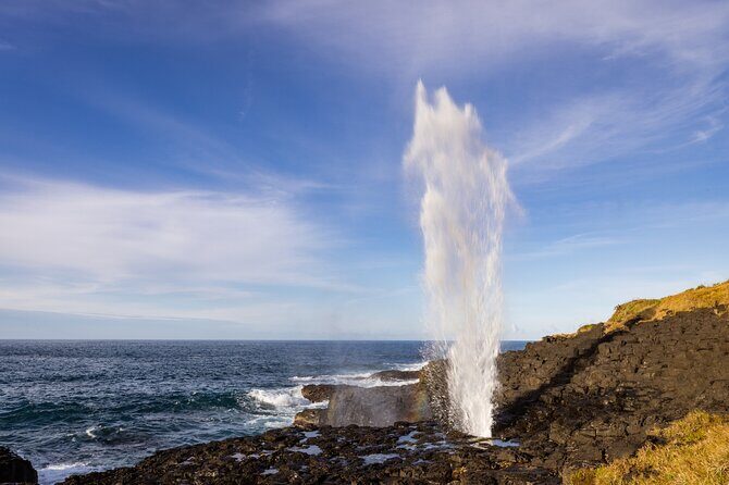 Kiama Coastal Day Tour in Sea Cliff Bridge Blowhole and Wildlife - How the Experience Comes Together