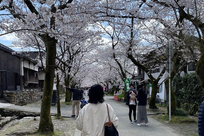 Kimono Experience in Akizuki Castle Town - Final Thoughts: Who Will Love This Tour?