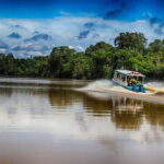 Kinabatangan River Trip from Sandakan with Lunch Included - Analyzing the Value