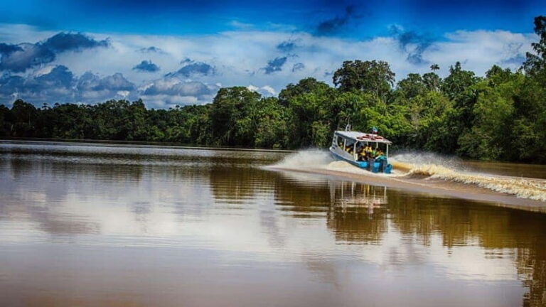 Kinabatangan River Trip from Sandakan with Lunch Included - Analyzing the Value