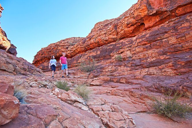 Kings Canyon Day Trip from Ayers Rock (Uluru) - Exploring the Itinerary: What You Can Expect