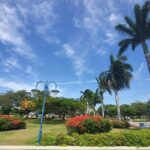 Kingston Cultural Tour Bob Marley Museum & Emancipation Park - Why This Tour Works Well