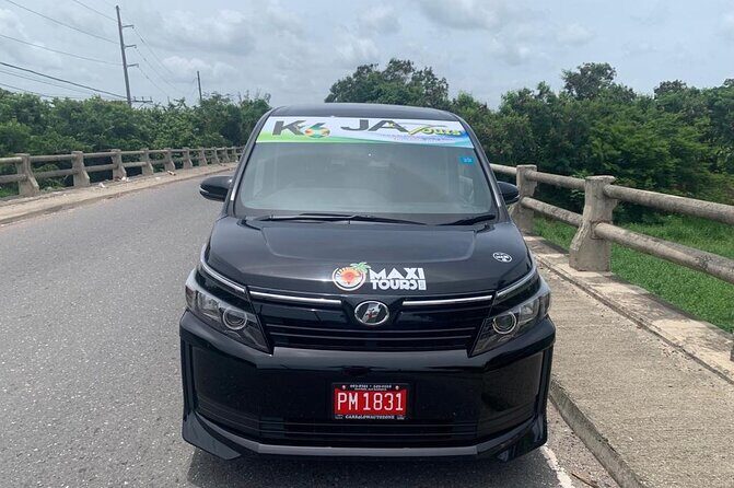 Kingston Day Trip -Devon House, Bob Marley & National Art Gallery - Detailed Breakdown of the Itinerary