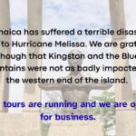 Kingston: Story of Jamaican Music Tour including Entry Fees - What to Expect from the Tour