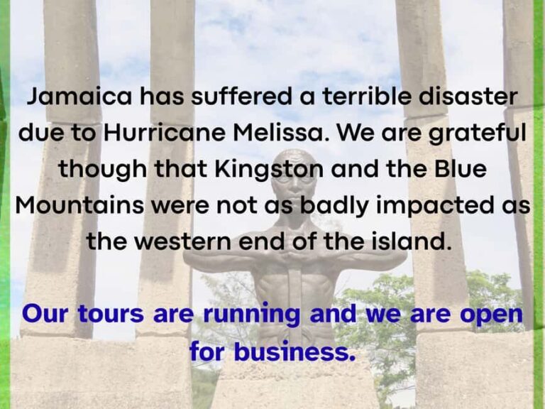 Kingston: Story of Jamaican Music Tour including Entry Fees - What to Expect from the Tour