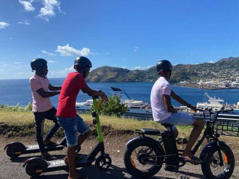 Kingstown: Small Group Electric Scooter City Tour - Practical Details: What You Need to Know