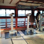 Kintai-Kyo Bridge and Iwakuni Castle with local guide 3h - Who Will Love This Tour?