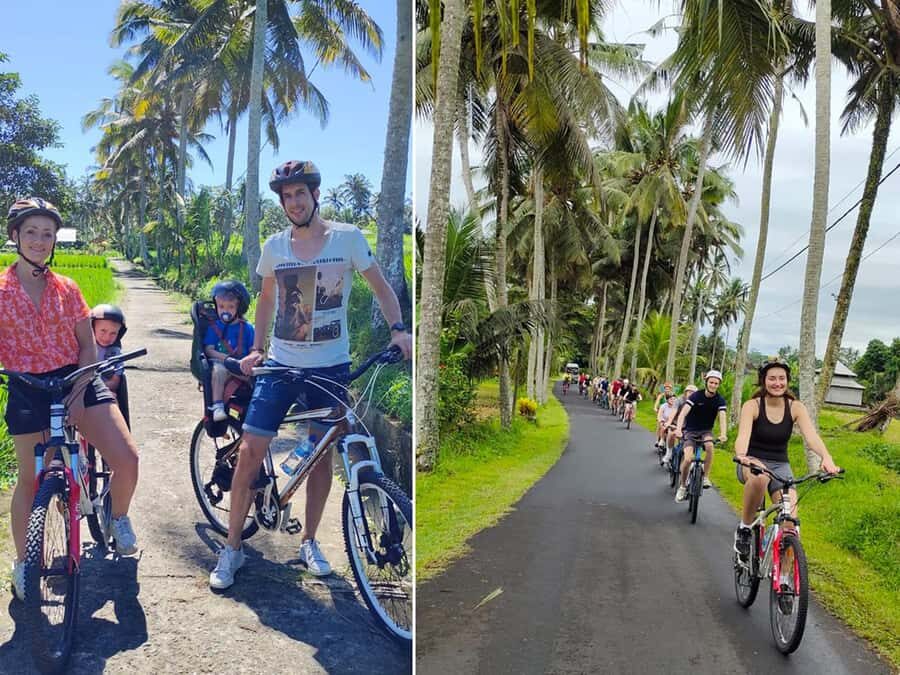 Kintamani to Ubud Downhill Cycling Tour - What to Expect