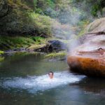Kirishima: Wild Hot Spring in Bamboo Forest - The Unique Appeal of This Hot Spring Tour